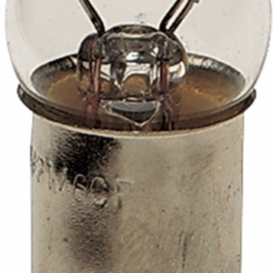 Small Globe Bulb