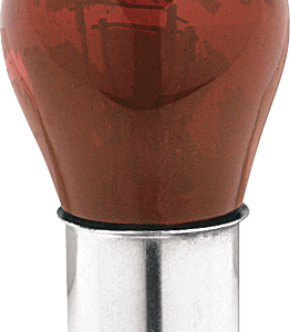 Large Globe Bulb