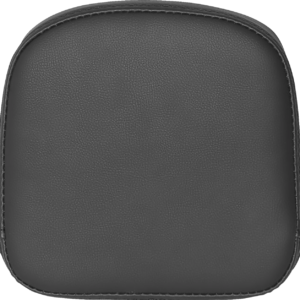 Sissy Bar Pad for RoadSofa?