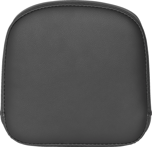 Sissy Bar Pad for RoadSofa?